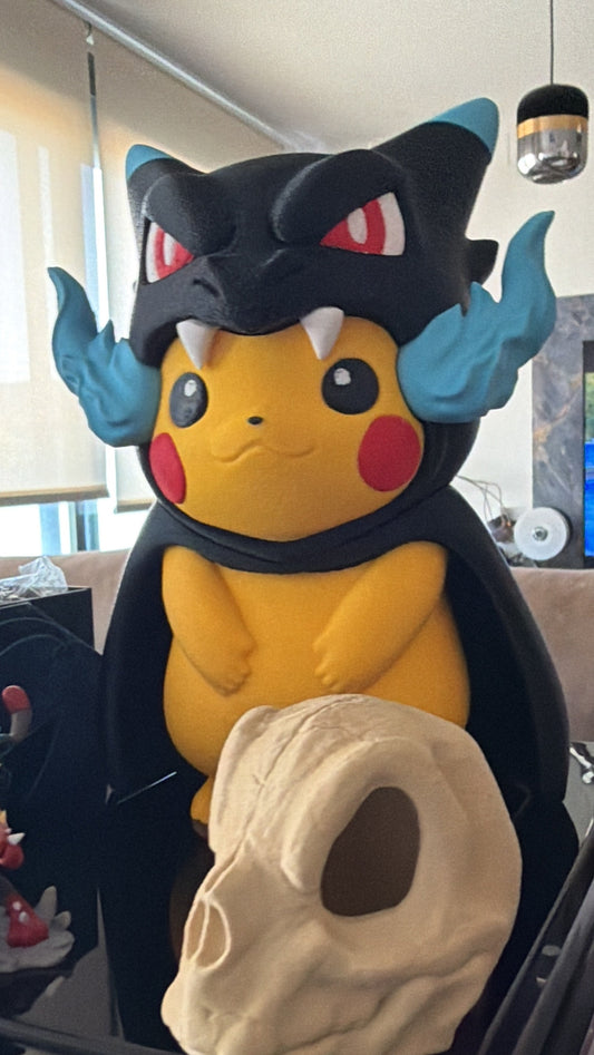 Pikachu poncho Charizard X