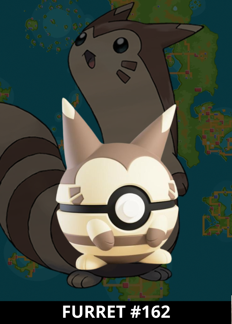 #162 - Furret