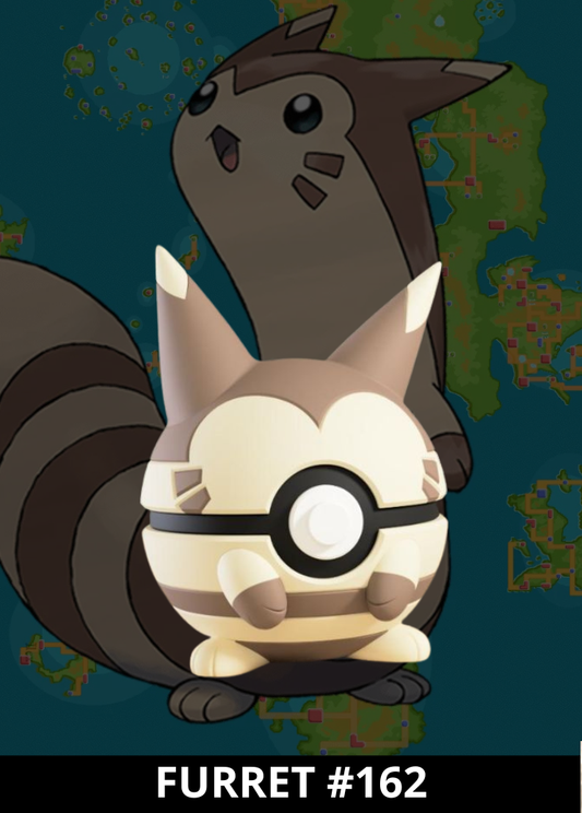 #162 - Furret