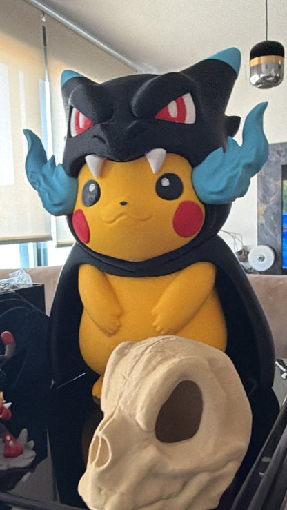 Pikachu poncho Charizard X