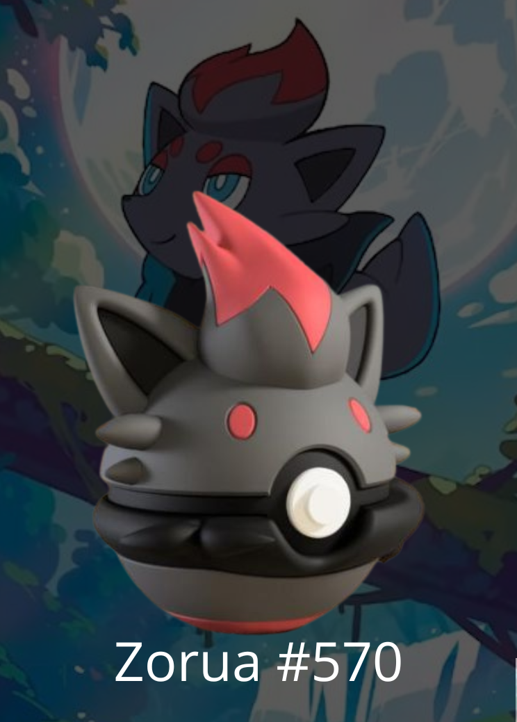 #570 - Zorua