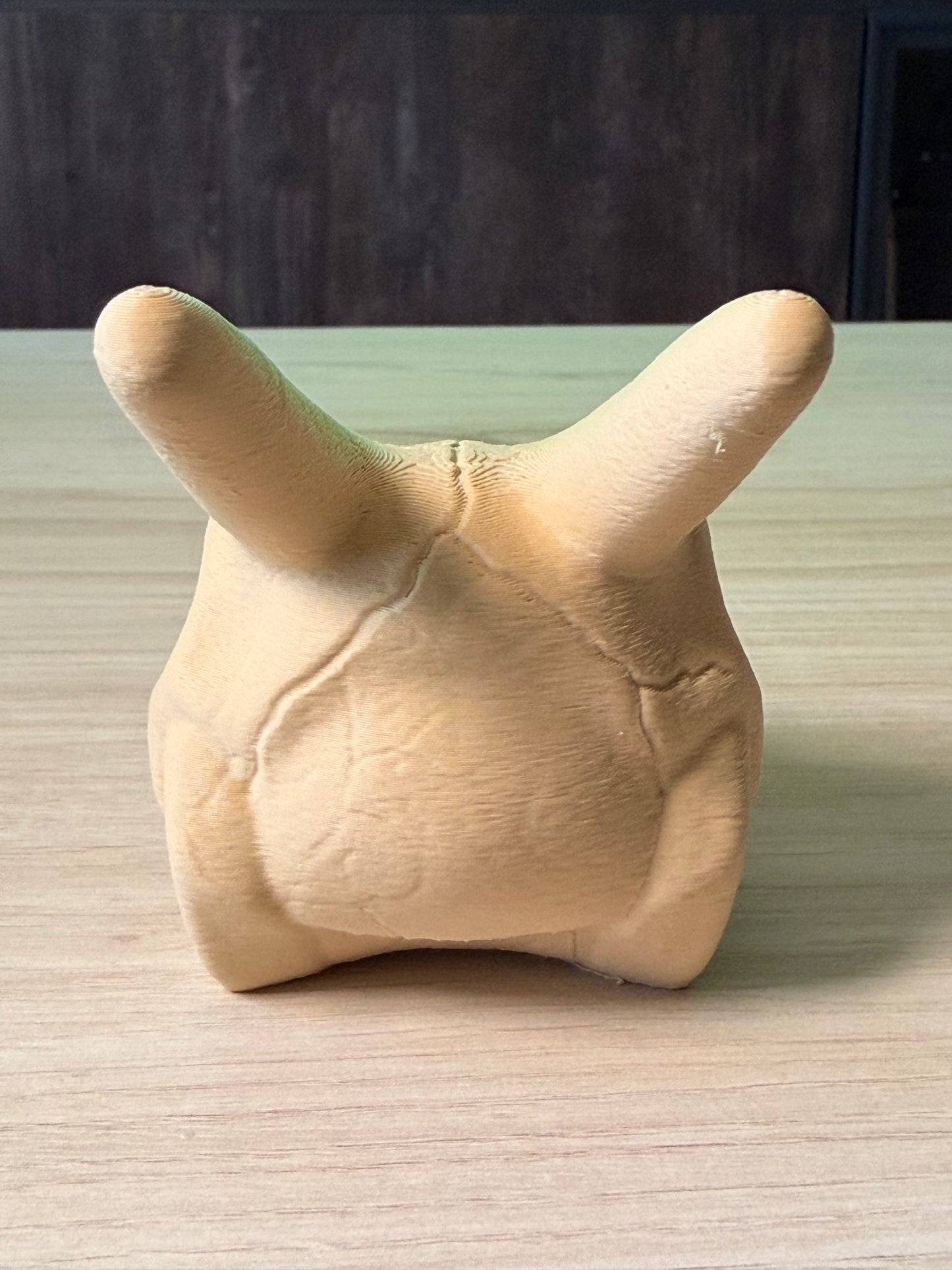 Calavera Charizard