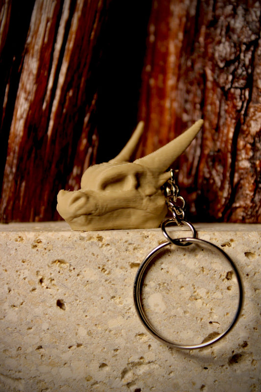 Llavero de Charizard